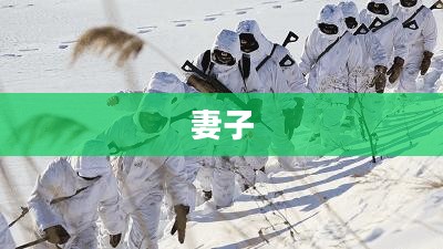 妻——岁月静好的陪伴者