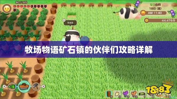 牧场物语矿石镇的伙伴们攻略详解