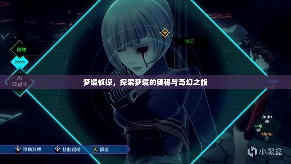 梦境侦探，探索梦境的奥秘与奇幻之旅