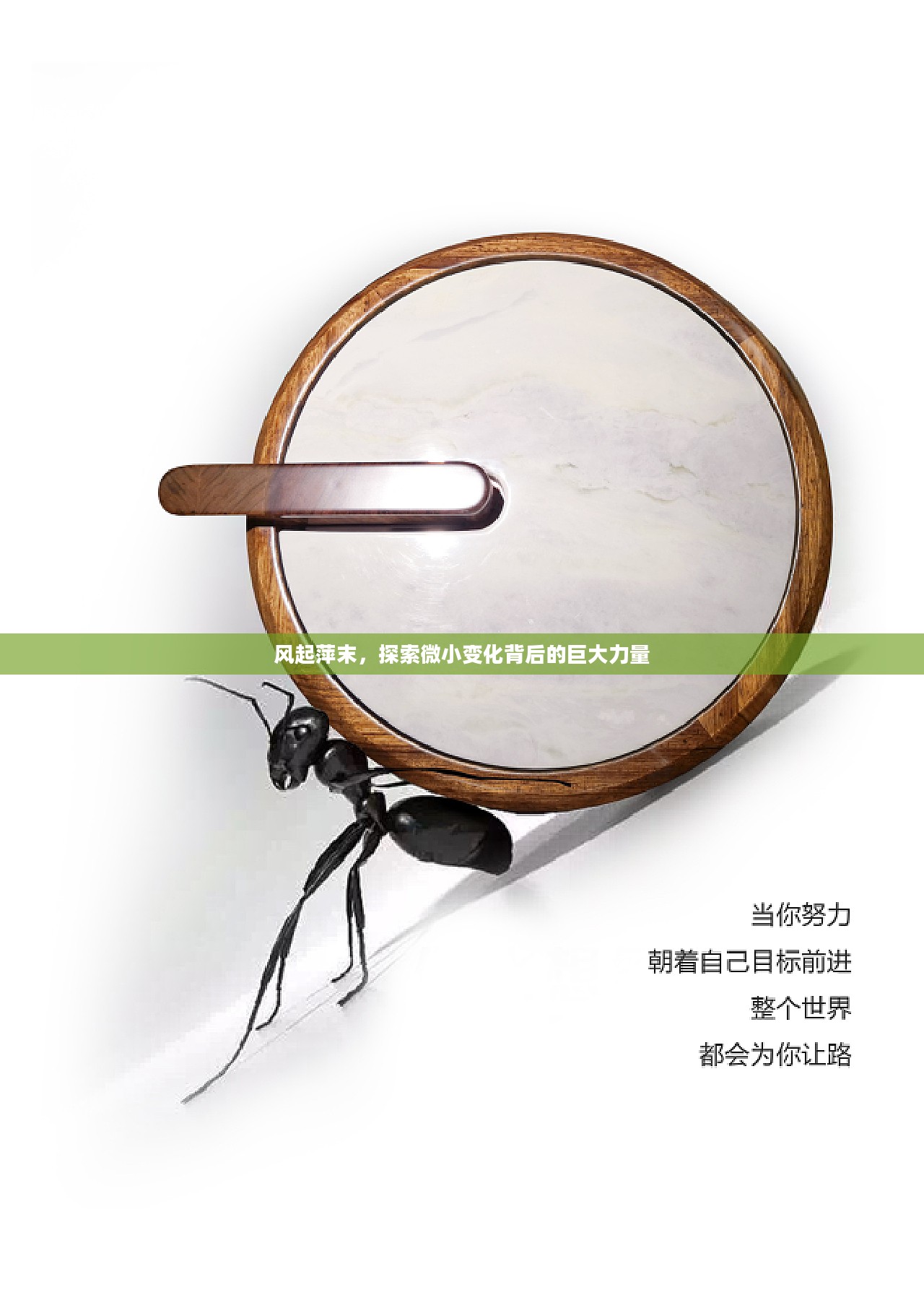 风起萍末，探索微小变化背后的巨大力量