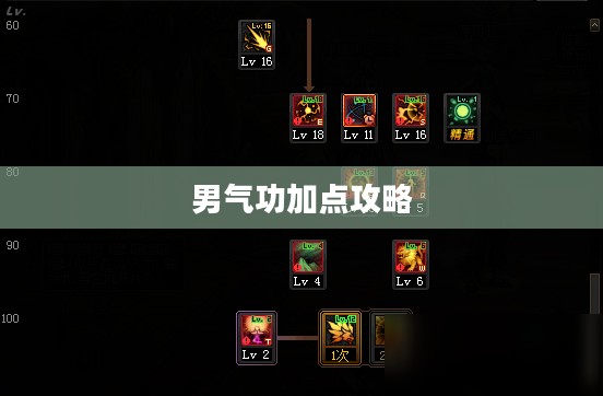 男气功加点攻略,技能分配与提升战斗效能 男气功加点攻略,技能分配与提升战斗效能