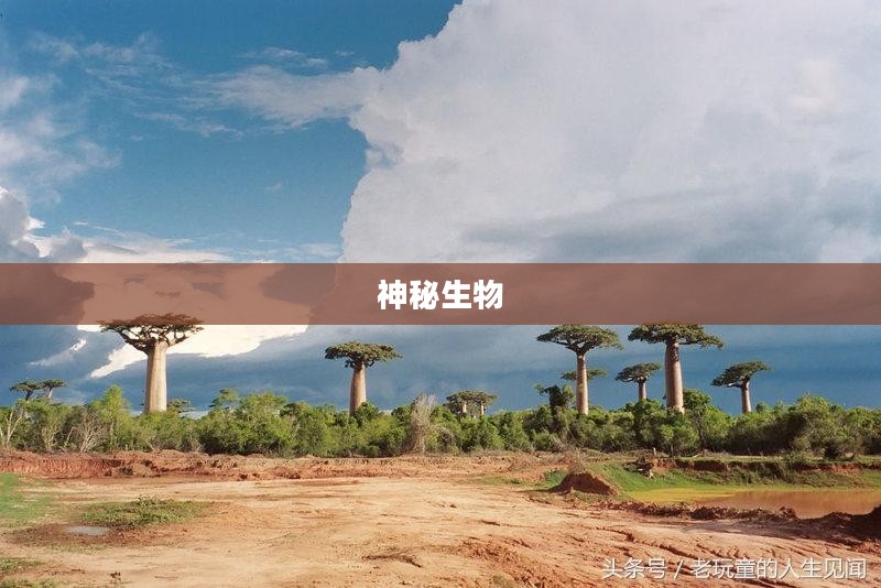 创造与魔法海鳄龙，奇幻世界的神秘生物