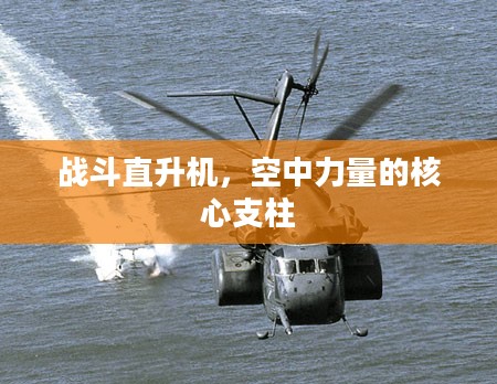 战斗直升机,空中力量的核心支柱 战斗直升机,空中力量的核心支柱