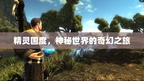 精灵国度,神秘世界的奇幻之旅 精灵国度,神秘世界的奇幻之旅