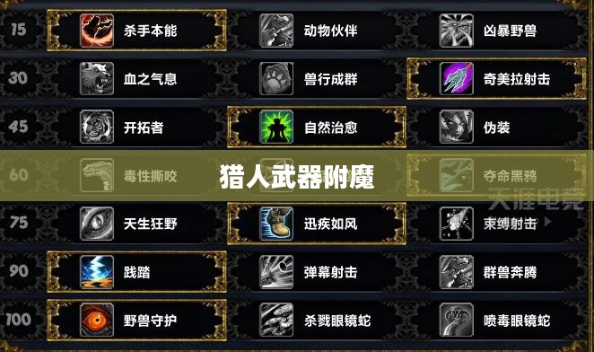猎人武器附魔，提升战力，征服游戏世界