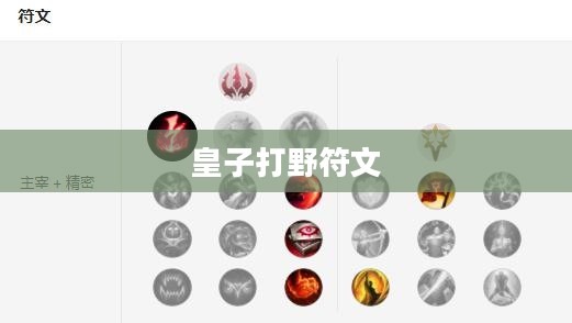 皇子打野符文，深度解析与最佳配置