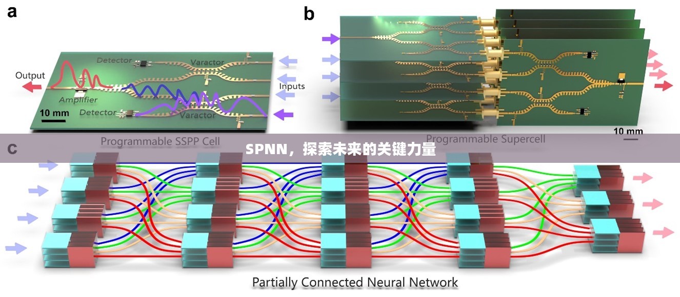 SPNN，探索未来的关键力量