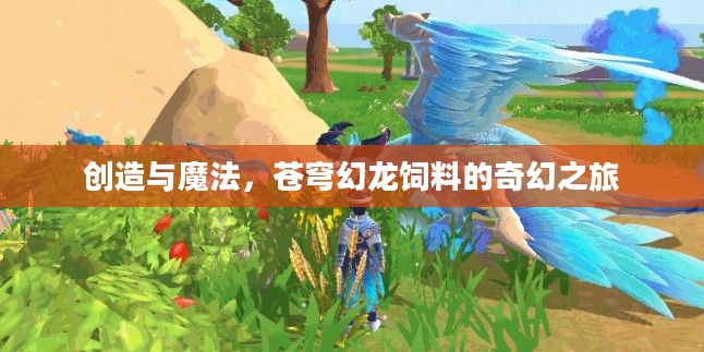 创造与魔法,苍穹幻龙饲料的奇幻之旅 创造与魔法,苍穹幻龙饲料的奇幻之旅