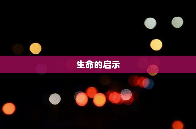 源火，燃烧的力量与生命的启示