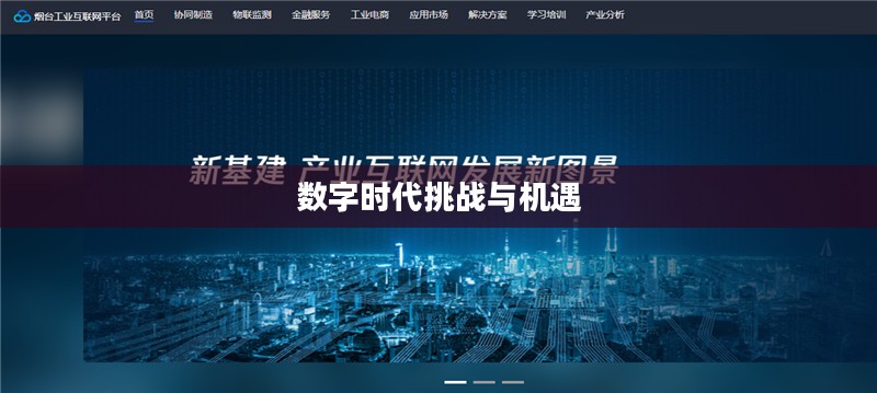 无法触碰的下载世界，探索数字时代的挑战与机遇