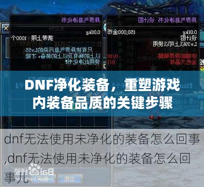 DNF净化装备，重塑游戏内装备品质的关键步骤