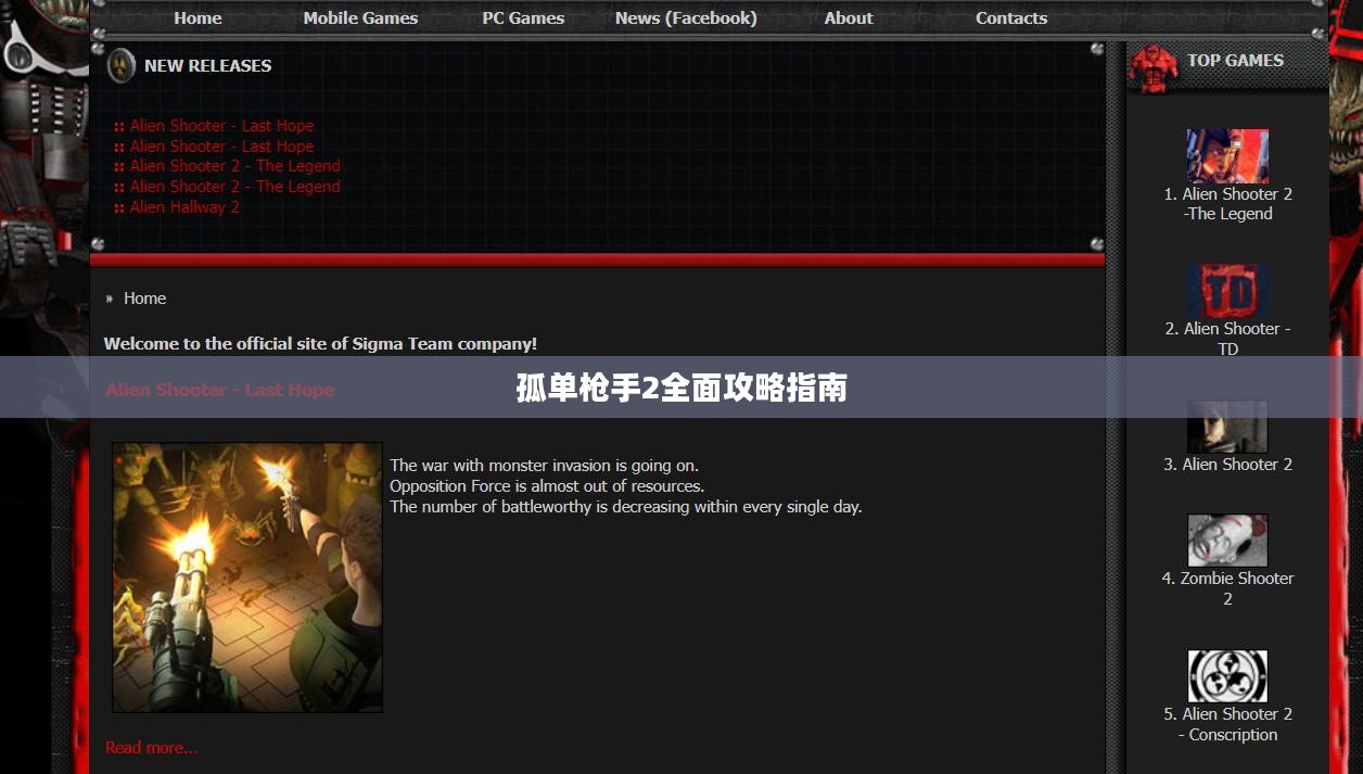 孤单枪手2全面攻略指南