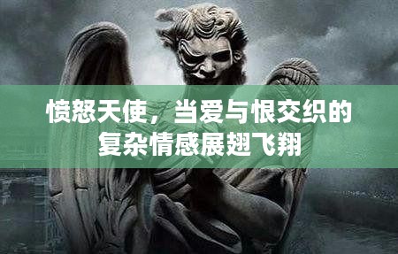 愤怒天使,当爱与恨交织的复杂情感展翅飞翔 愤怒天使,当爱与恨交织的复杂情感展翅飞翔