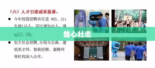 称霸天下,雄心壮志与策略智慧 称霸天下,雄心壮志与策略智慧