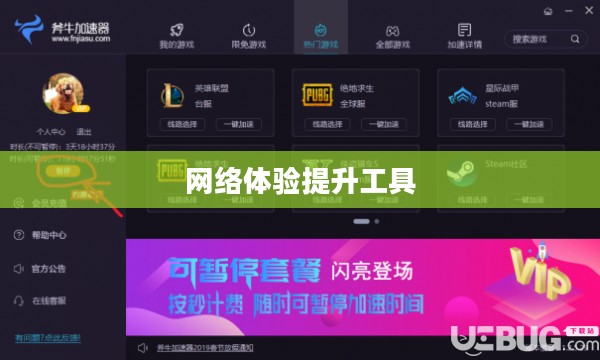无敌加速器下载,提升网络体验的关键工具 无敌加速器下载,提升网络体验的关键工具