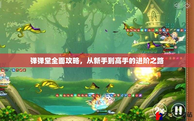 弹弹堂全面攻略，从新手到高手的进阶之路