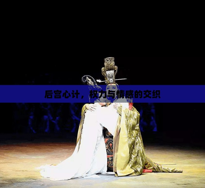 后宫心计，权力与情感的交织