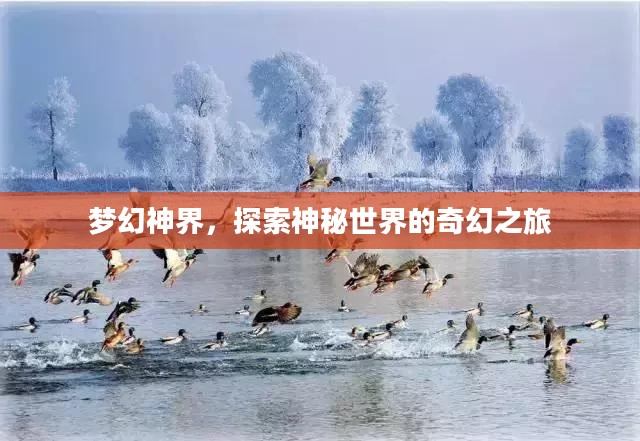 梦幻神界，探索神秘世界的奇幻之旅