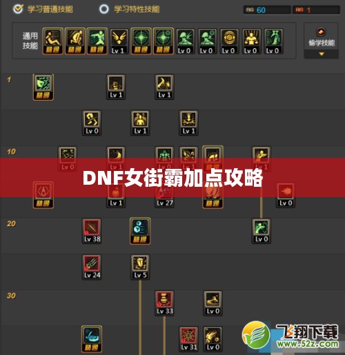 DNF女街霸加点攻略,技能强化与属性分配的艺术 DNF女街霸加点攻略,技能强化与属性分配的艺术