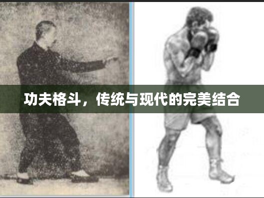 功夫格斗，传统与现代的完美结合