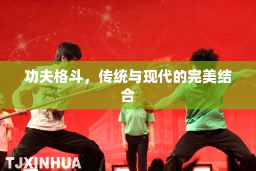 功夫格斗，传统与现代的完美结合