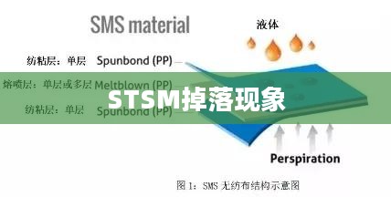 探索STSM掉落现象,背后的原因与影响 探索STSM掉落现象,背后的原因与影响