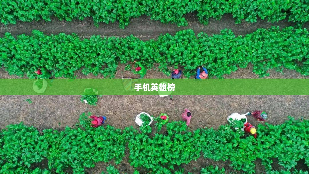 手机英雄榜，时代变迁中的英雄群像