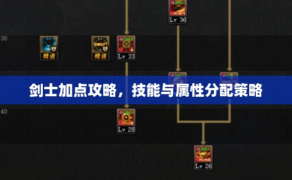 剑士加点攻略,技能与属性分配策略 剑士加点攻略,技能与属性分配策略