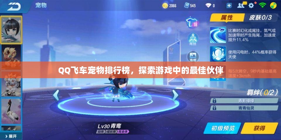 QQ飞车宠物排行榜，探索游戏中的最佳伙伴