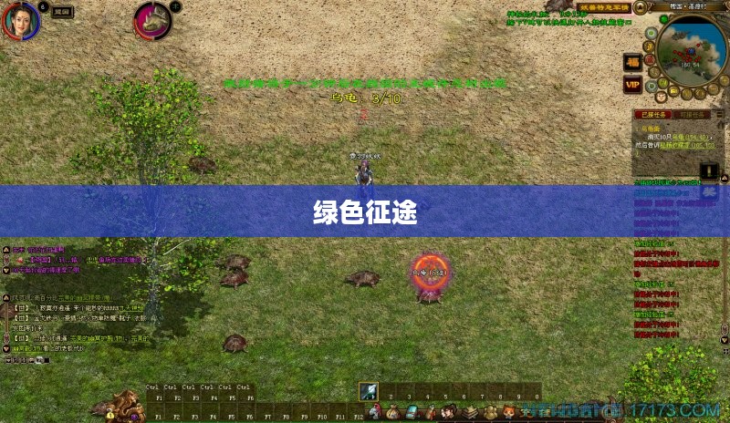 绿色征途，探寻最佳职业之路