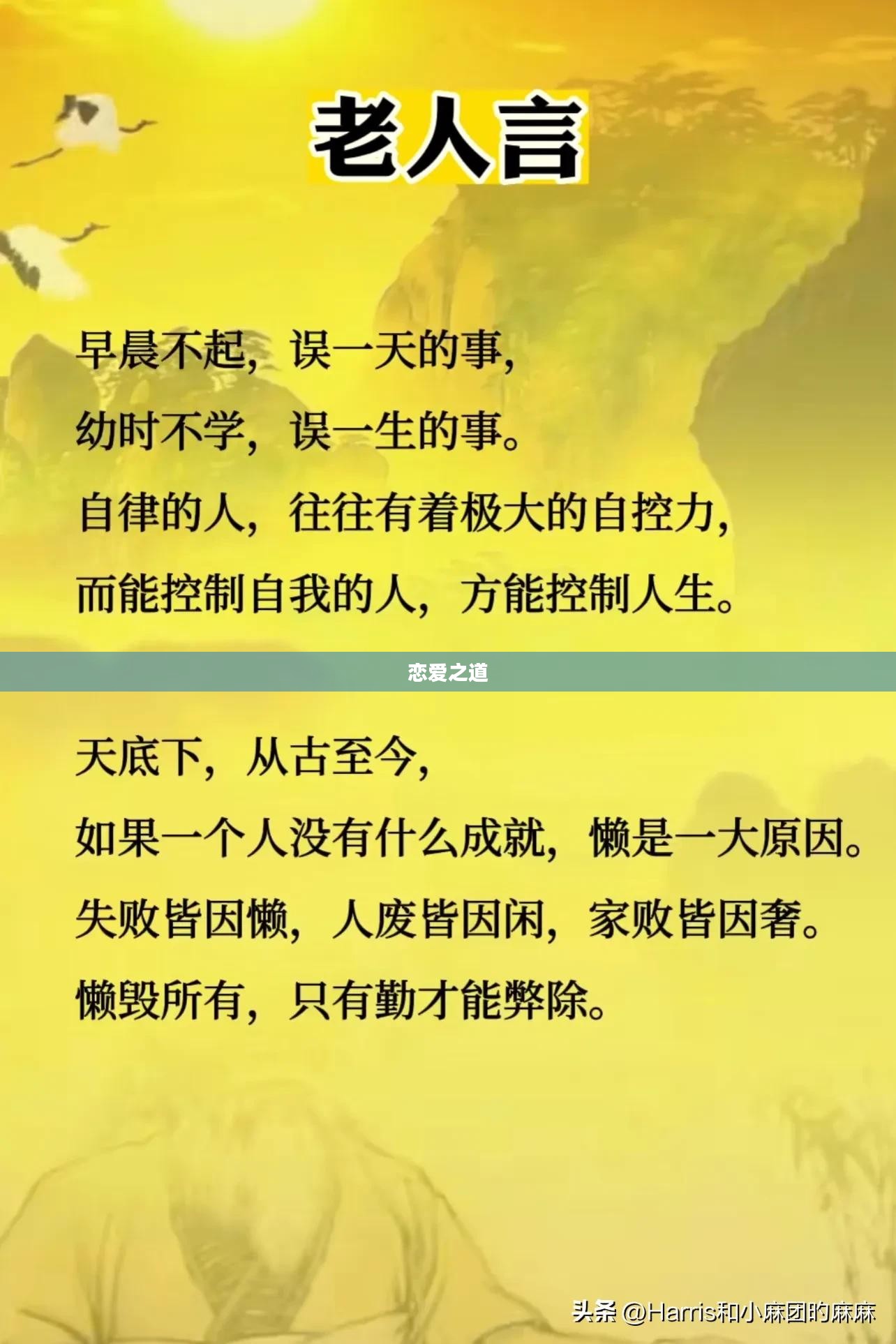 恋爱高手下载，掌握恋爱之道，开启幸福之门