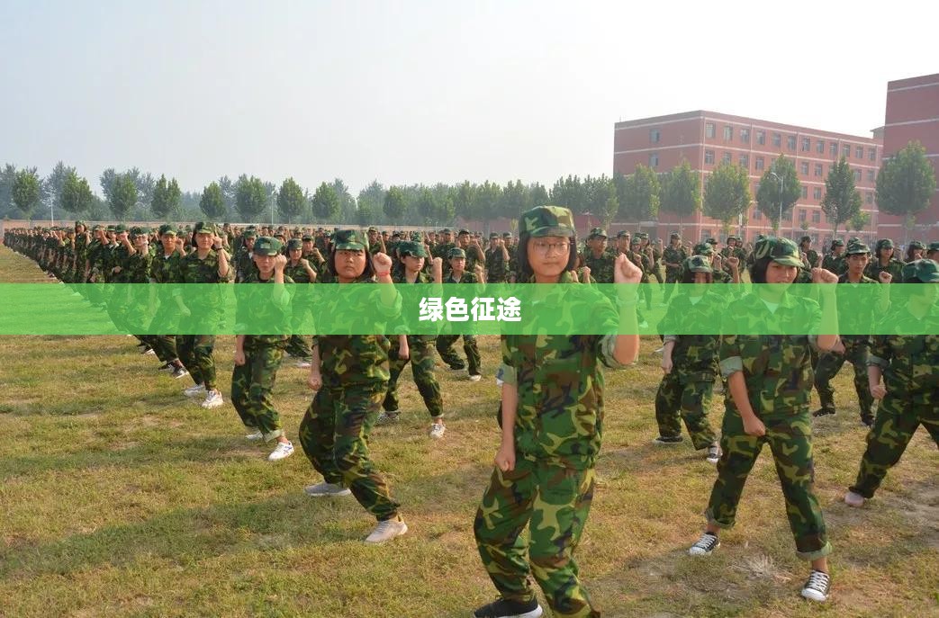绿色征途，探索赚钱之道