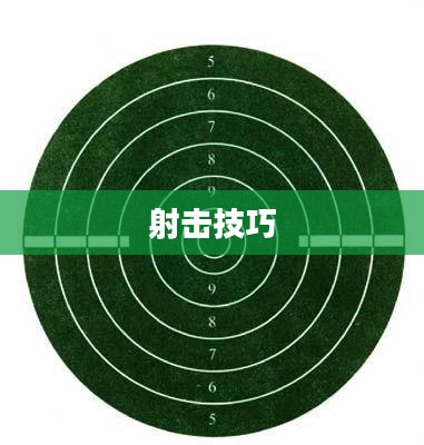 环形射击,射击运动的独特魅力与技巧解析 环形射击,射击运动的独特魅力与技巧解析