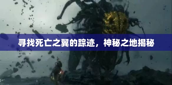 寻找死亡之翼的踪迹，神秘之地揭秘