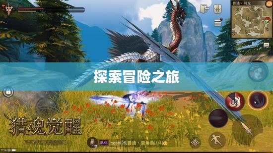联盟怎么去霜火岭,探索未知的冒险之旅 联盟怎么去霜火岭,探索未知的冒险之旅