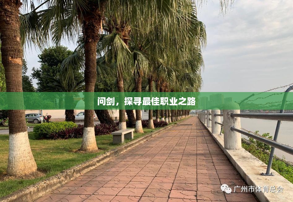 问剑，探寻最佳职业之路