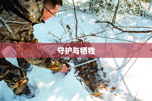 森林捍卫者的守护与牺牲