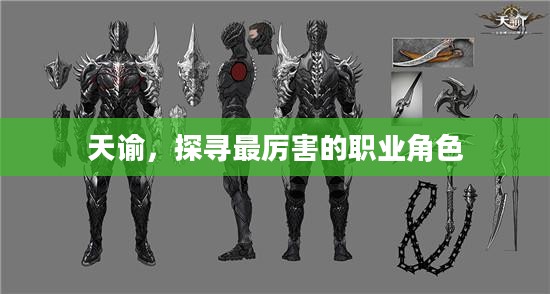 天谕，探寻最厉害的职业角色