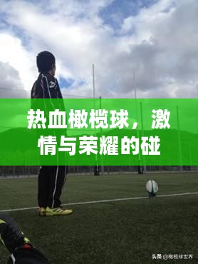 热血橄榄球，激情与荣耀的碰撞