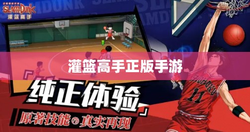灌篮高手正版手游首发，热血重燃篮球梦