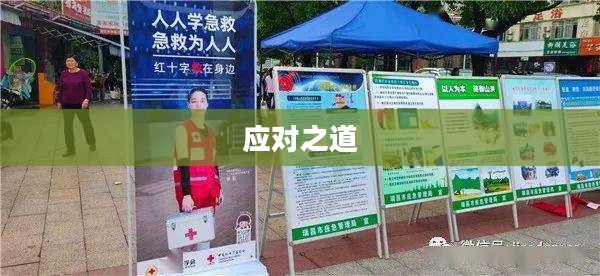 城市入侵者的挑战与应对之道