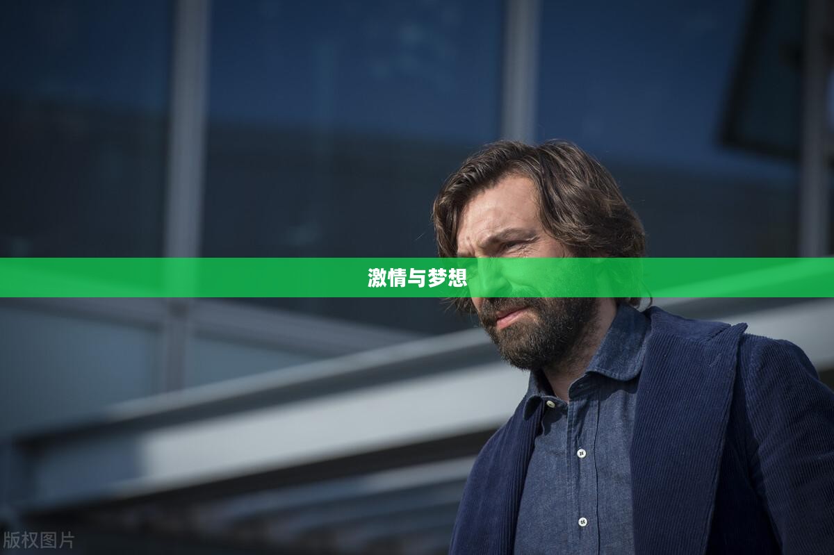 足球天下2013,激情、荣耀与梦想交织的年华 足球天下2013,激情、荣耀与梦想交织的年华