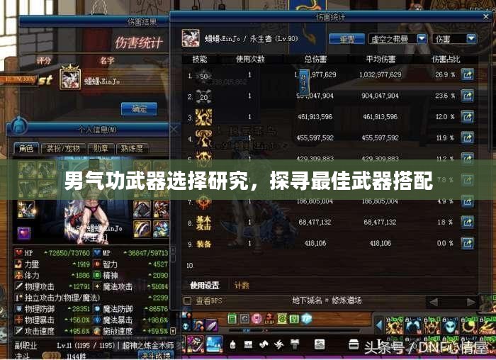 男气功武器选择研究，探寻最佳武器搭配