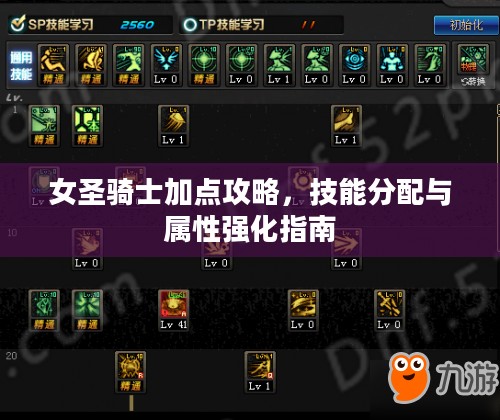 女圣骑士加点攻略，技能分配与属性强化指南