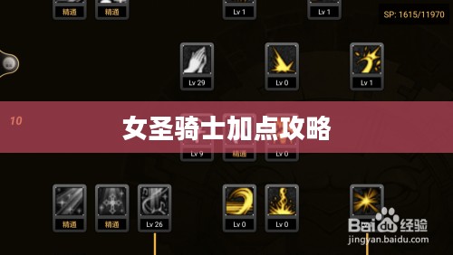 女圣骑士加点攻略,技能分配与属性强化指南 女圣骑士加点攻略,技能分配与属性强化指南