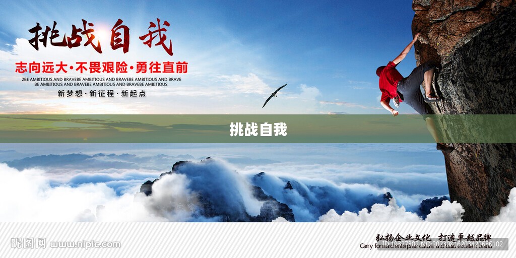 征途答题，探索知识的海洋与挑战自我