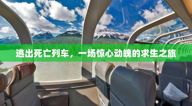 逃出死亡列车，一场惊心动魄的求生之旅