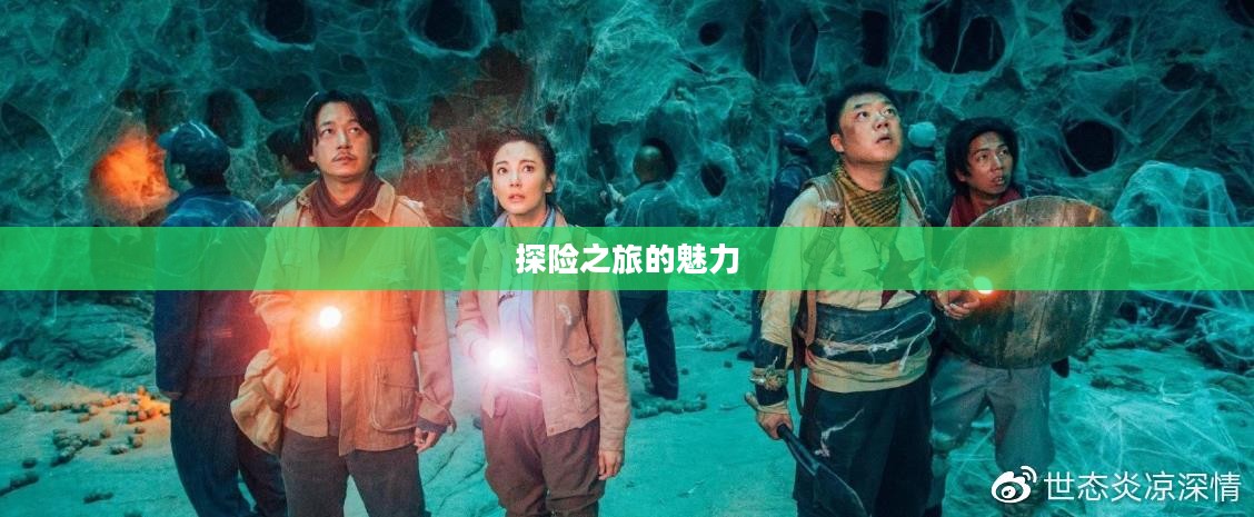 新鬼吹灯，探险之旅的吸引力与魅力