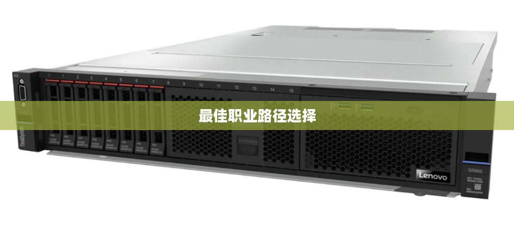 魔法师职业转型的多元探索，选择最佳职业路径