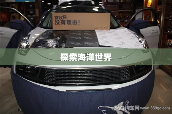 金鲨银鲨游戏下载，探索海洋世界的无尽魅力